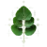 Dear Apothecary logo
